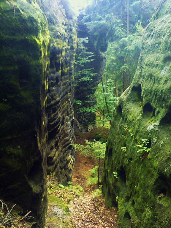 Ubytovani U Potoka Kunratice  Buitenkant foto