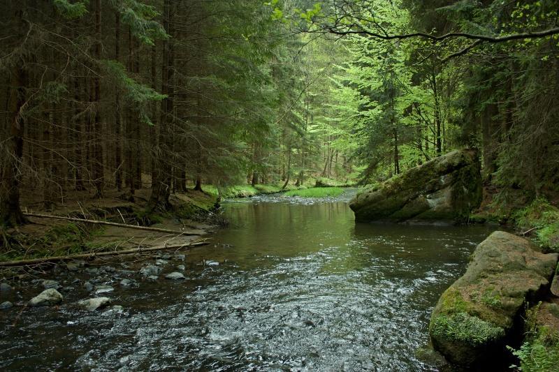 Ubytovani U Potoka Kunratice  Buitenkant foto